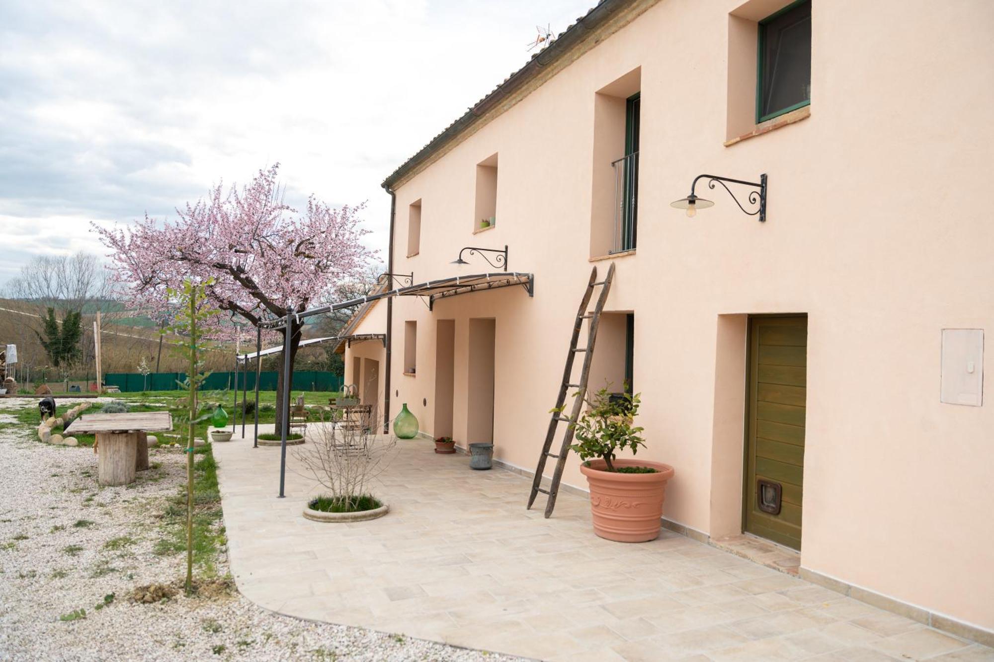 B&B Le Rondini Ostra Senigallia Casine  Exterior foto