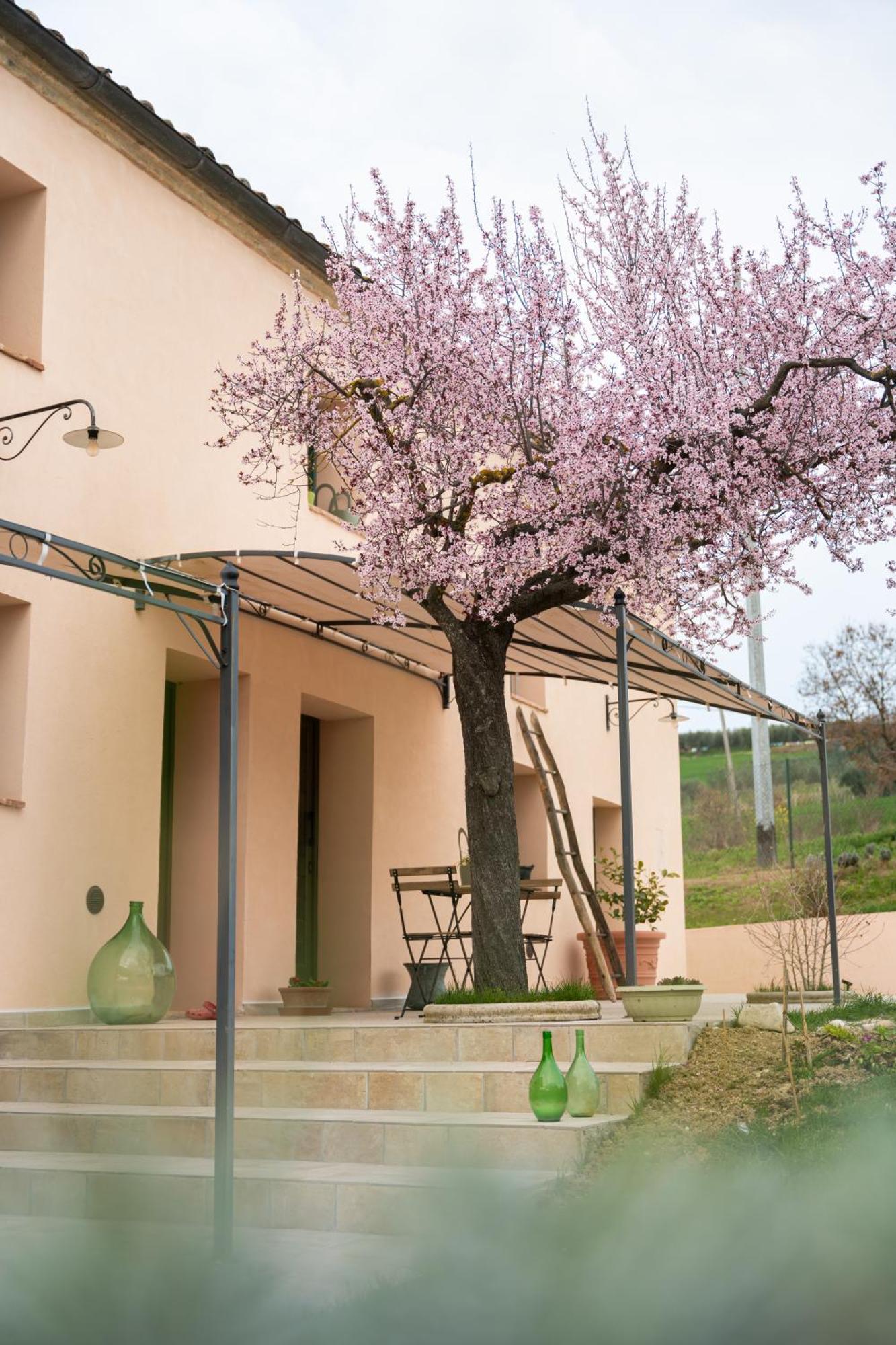 B&B Le Rondini Ostra Senigallia Casine  Exterior foto